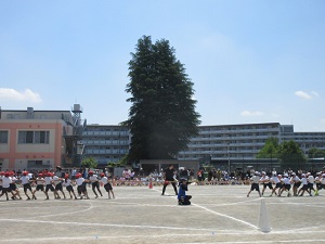 中
