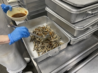 給食