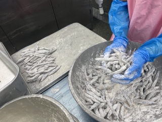 給食