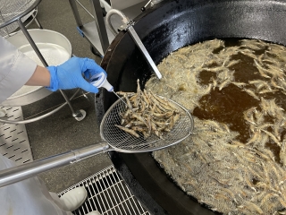 給食