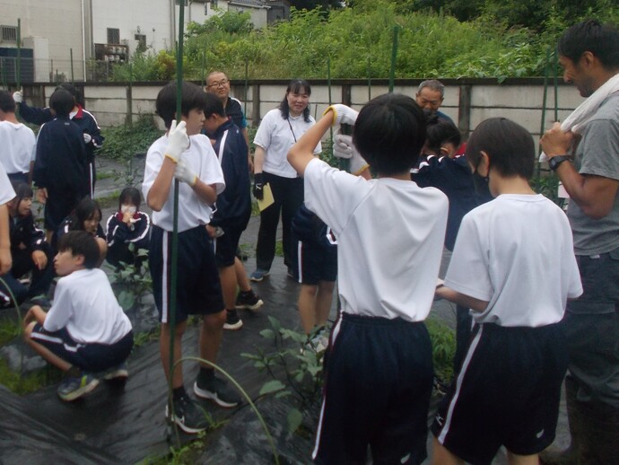 写真
