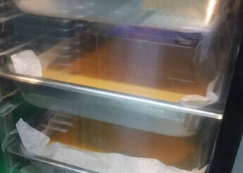 tamago3