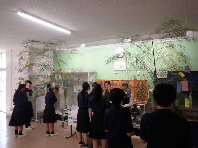 写真