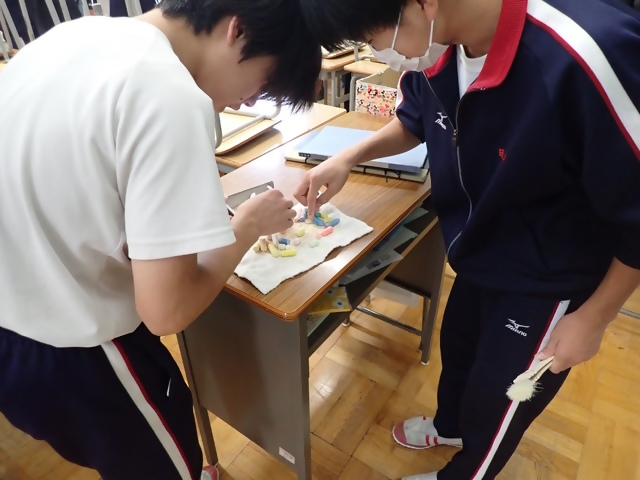 写真