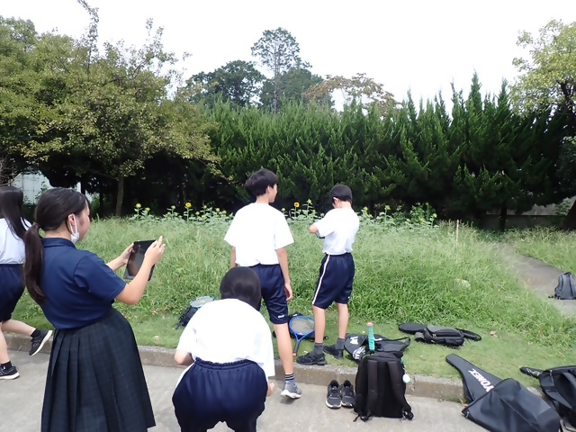 写真