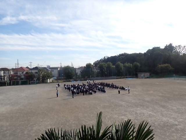 写真