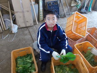 写真：農業体験6