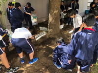 写真：花壇つくり5