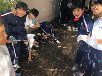 写真：花壇つくり8