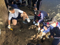 写真：花壇つくり9