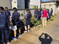写真：花壇つくり11