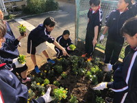 写真：花壇つくり13