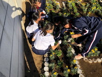 写真：花壇つくり14