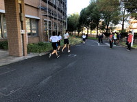 写真：東京駅伝選考会5