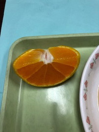 写真：ぽんかん