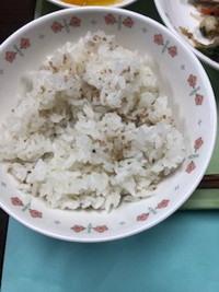 写真：ごまご飯