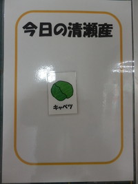 写真：今日の清瀬産　キャベツ