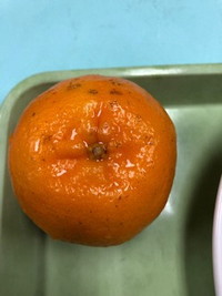 写真：ぽんかん