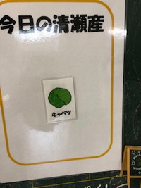 写真：今日の清瀬産　キャベツ