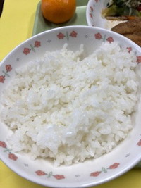 写真：ご飯