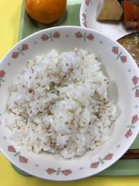 写真：ごまご飯