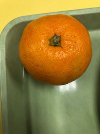 写真：みかん