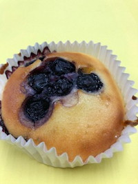 写真：ヨーグルトブルーベリーケーキ