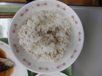 写真：ごまご飯