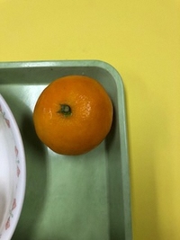 写真：冷凍みかん