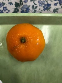 写真：冷凍みかん
