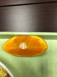 写真：デコポン