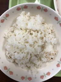 写真：ごまご飯