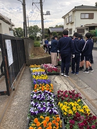 花植え