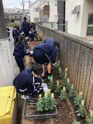 花植え