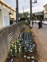 花植え
