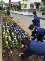 花植え