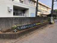 花植え