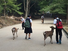 修学旅行の様子です