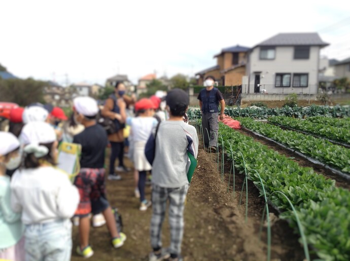 農家見学2