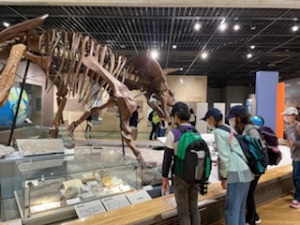 立科
