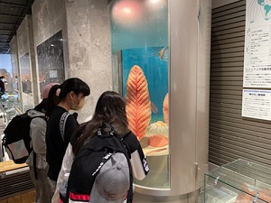 立科