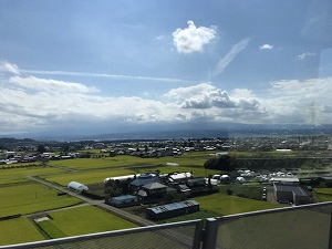 立科