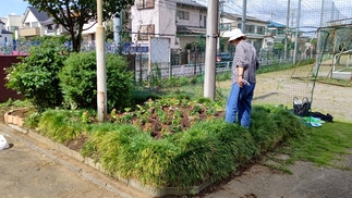 写真