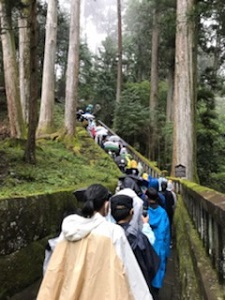 日光