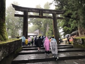 日光