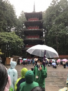 日光