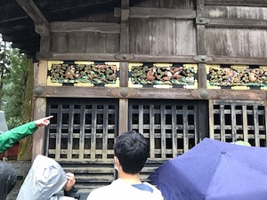 日光