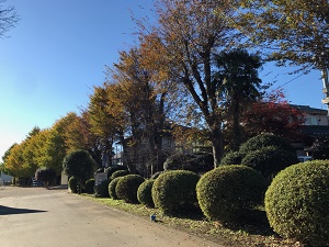 校庭の様子