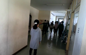 動画