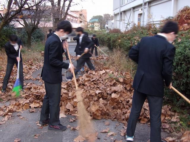 落ち葉